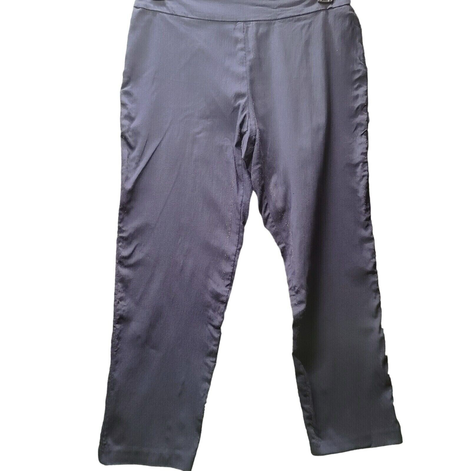 Counterparts Womens Pants Blue Size 10P Rayon Blend Stretch Pull On